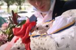 немовля, скріншот з відео
