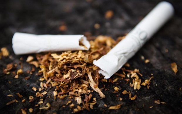 Ученые обнаружили новые "целебные" свойства табака