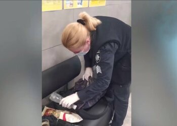 Полицейская / скриншот из видео