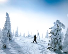 Где покататься на лыжах: лучшие курорты Германии