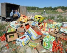 Кремлевская диета: у крымчан массово отбирают украинские продукты