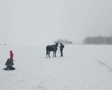 Тернополянин змусив коня стати на ковзани на замерзлому ставку: ледь не згодував рибам