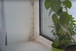 Цвіль на вікнах. Фото: скрін youtube