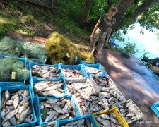 незаконный лов рыбы - Госэкоинспекция