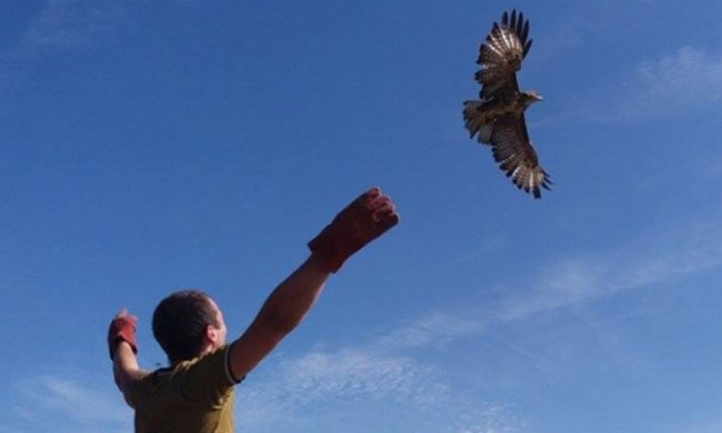 В Одесі випустили на волю диких птахів (фото)