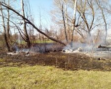 підпал трави, фото Національної поліції