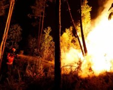 Португалія охоплена вогнем: кількість жертв продовжує зростати