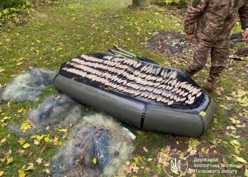 незаконний вилов риби