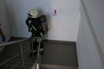 В Днепре на детской площадке поселился ползучий гад ростом с человека — осторожно, кусается