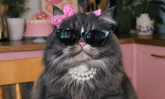 Гороскоп, зображення: Pinterest