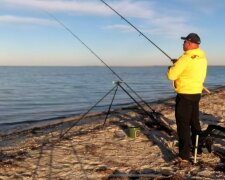 Азовське море заполонила зграя мальків пеленгаса - встигли вирости за літо