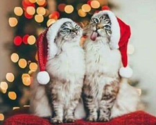 Новий рік, фото: Pinterest