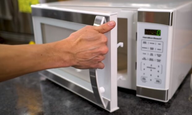 Микроволновая печь, фото YouTube