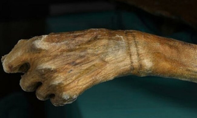 Стародавні татуювання лікували