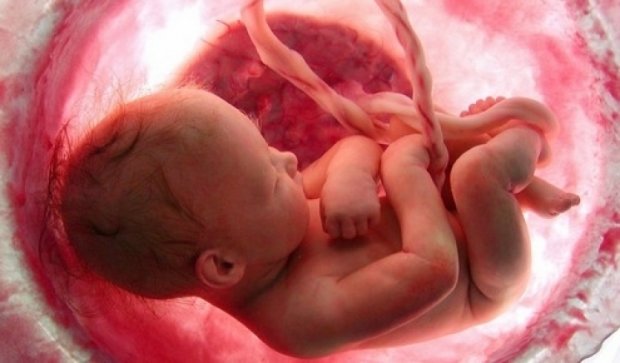 Медики показали, чем занимается малыш в утробе матери (видео)