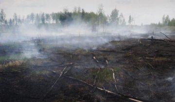 У Києві зафіксували перевищення вмісту токсичних речовин у повітрі