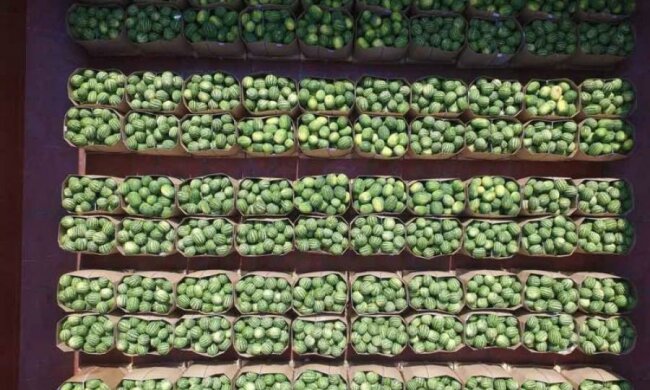 Херсонці виклали тризуб з "національного" продукту