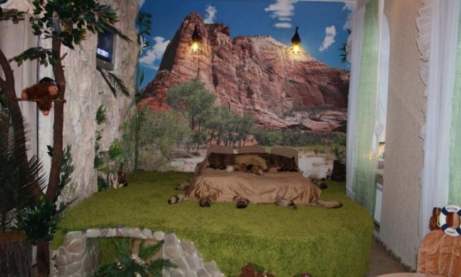 "Уманский Маугли" показал джунгли в квартире (фото)