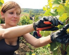 Где заработать летом: 15 идей для дополнительного дохода