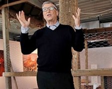 Билл Гейтс займется разведением кур