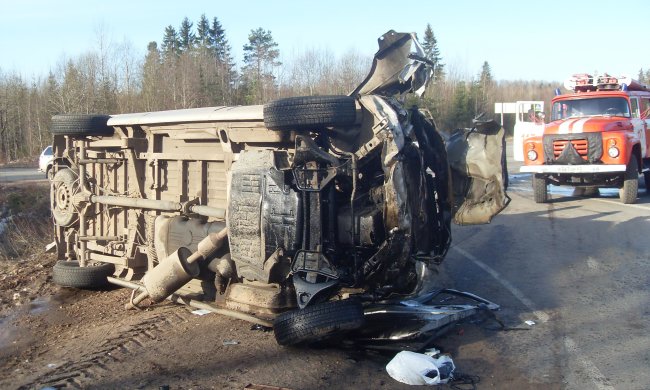 Смертельна ДТП на Львівщині: пасажирський автобус зробив "сальто", рятувальники ледь дістали тіла