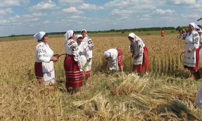 5 августа по народному календарю отмечается праздник Трофима Бессонника