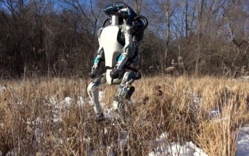 Робота Boston Dynamics на утренней пробежке засекла камера