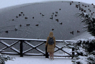 Українці, сніг, зима, фото із соцмереж