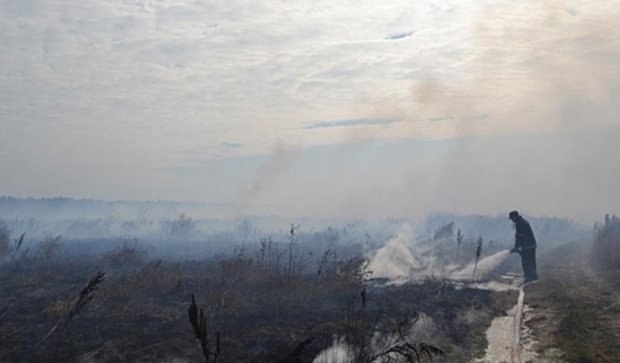 Под Киевом продолжают тушить 14 пожаров на торфяниках