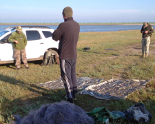 незаконний вилов риби