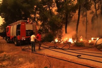 Пожары в Греции, фото: скриншот из видео