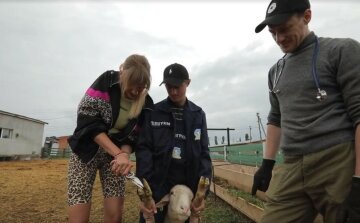 Леся Никитюк, пресс-служба Нового канала