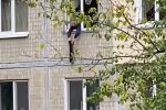 Издевательство над котом, кадр из видео