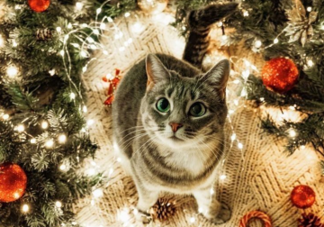 Гороскоп, изображение: Pinterest