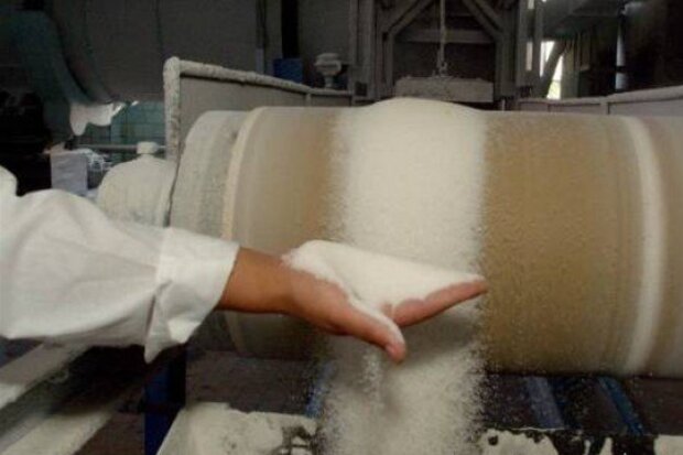 Производство сахара, фото: volynnews.com