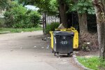 Терпіння увірвалося: кияни б’ють на сполох через безлад біля ботсаду Фоміна та пропонують радикальні кадрове рішення