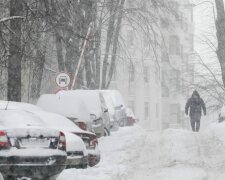 Зима в Украине, ТСН