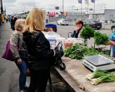 Люди покупают укроп и петрушку