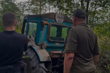 незаконна вирубка дерев