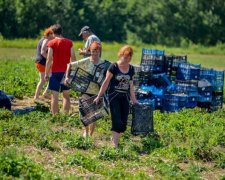 Давид Суничник 9 липня: чого категорично не можна робити