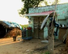 Жінок згвалтували через підозру у споживанні яловичини