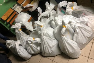 На Закарпатье задержали автомобиль с янтарным "пассажиром"