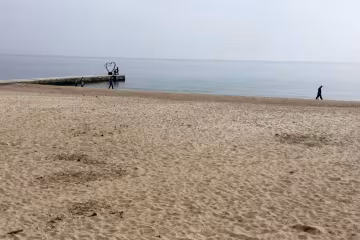 На одесском пляже засекли толпу моржей, сезон "голой" зимы открыт: кадры не для мерзляков
