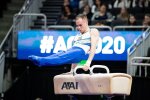 Олег Верняєв, John Cheng /Usagymnastics