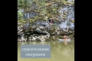 спасение собаки, скриншот с видео