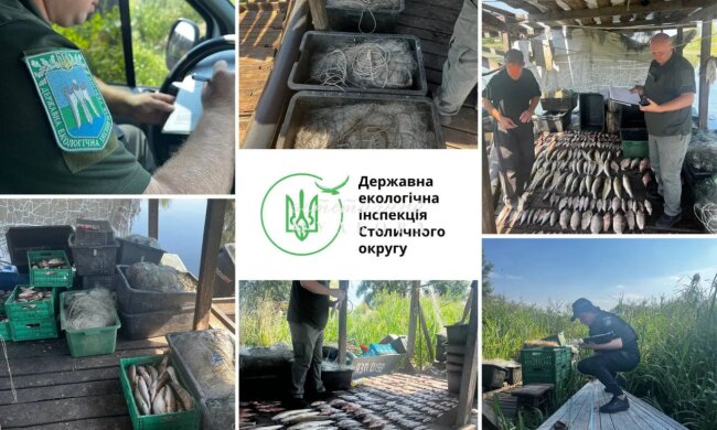Нанесено збитків на суму 675 852 грн: на Київському водосховищі Держекоінспекція вилучила десятки кілограм риби