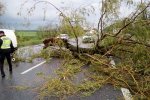 "Улицы тонут, деревья вырваны с корнями": опубликованы фото пострадавшего от смерча Житомира