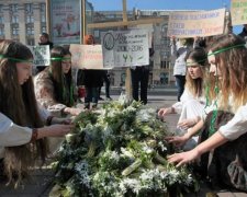 На Хрещатику влаштували кладовище пролісків (фото)