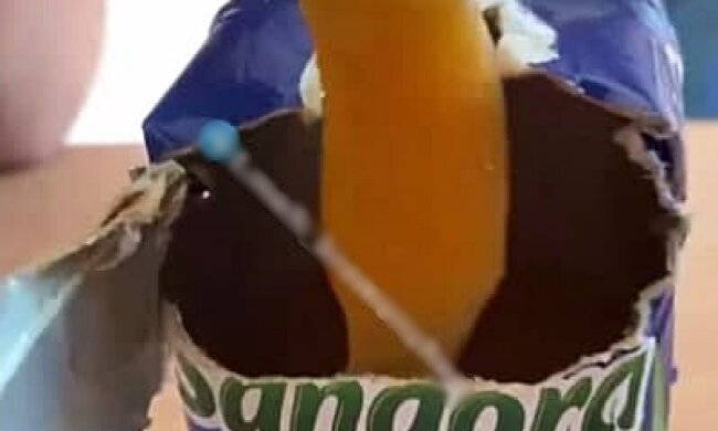 Нечто из коробки сока, фото с Telegram-канала