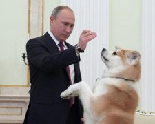 Путин снова влип в неприятную историю с собакой